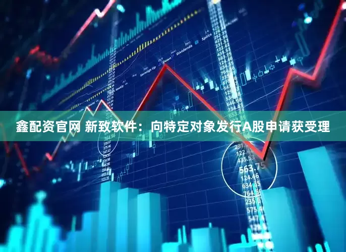 鑫配资官网 新致软件：向特定对象发行A股申请获受理