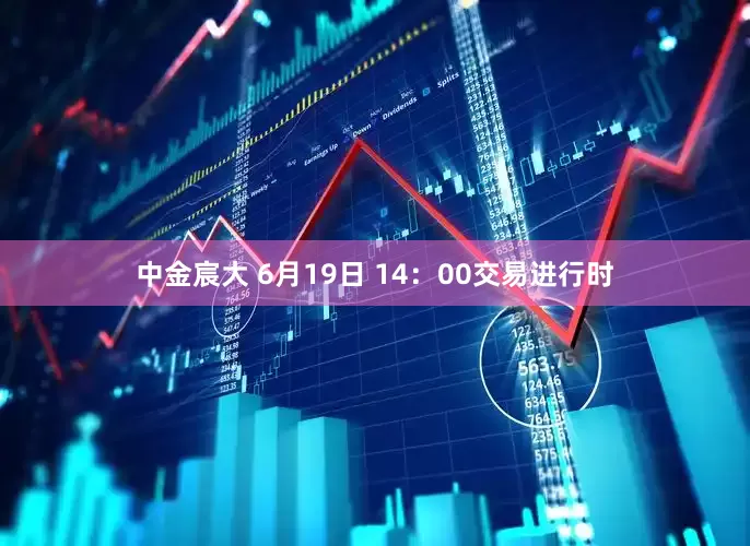 中金宸大 6月19日 14：00交易进行时