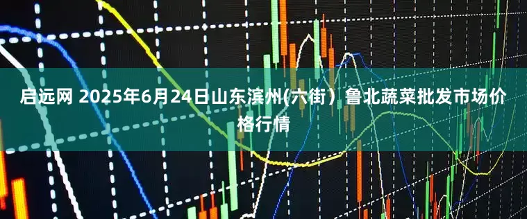 启远网 2025年6月24日山东滨州(六街）鲁北蔬菜批发市场价格行情