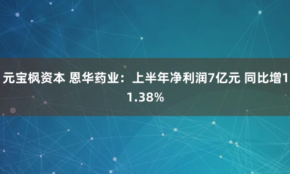 元宝枫资本 恩华药业：上半年净利润7亿元 同比增11.38%