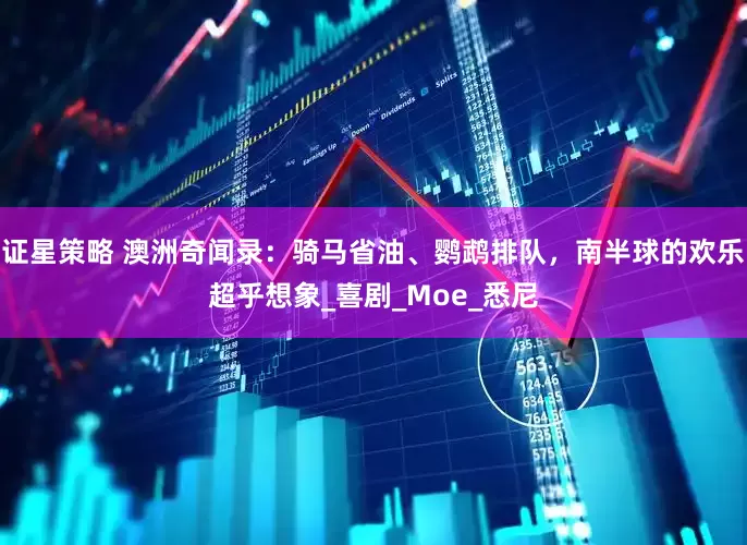 证星策略 澳洲奇闻录：骑马省油、鹦鹉排队，南半球的欢乐超乎想象_喜剧_Moe_悉尼